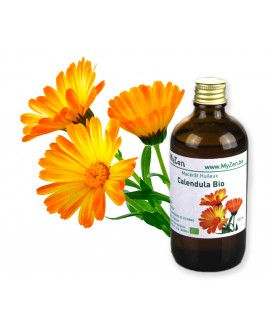 Arnica