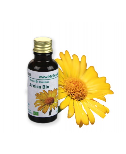 Arnica