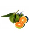 Mandarine Verte